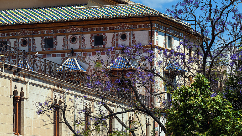 007_alta_gandiabeach_ Ducal.jpg